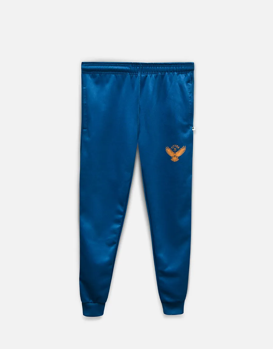 MEN'S EAGLE TRACKSUIT PULLOVER ZINC
