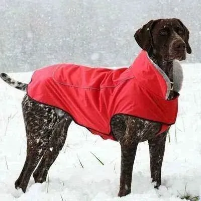 Royal Paws Winter Elegance Waterproof Dog Jacket