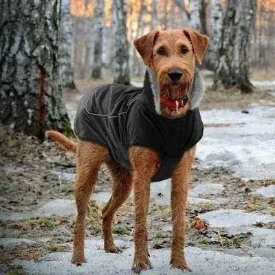 Royal Paws Winter Elegance Waterproof Dog Jacket