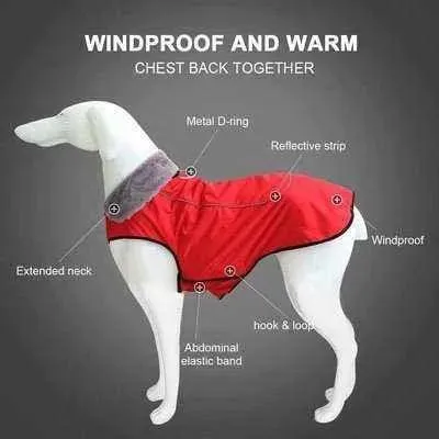 Royal Paws Winter Elegance Waterproof Dog Jacket