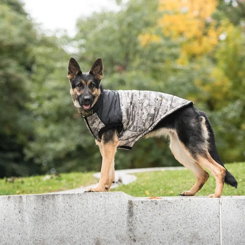 US Army Dog Jacket - Camo: Warmth and Patriotic Style