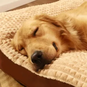 Warm Fleece Dog Bed with Blanket – Cozy & Soft for Pets