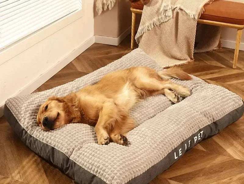 Warm Fleece Dog Bed with Blanket – Cozy & Soft for Pets