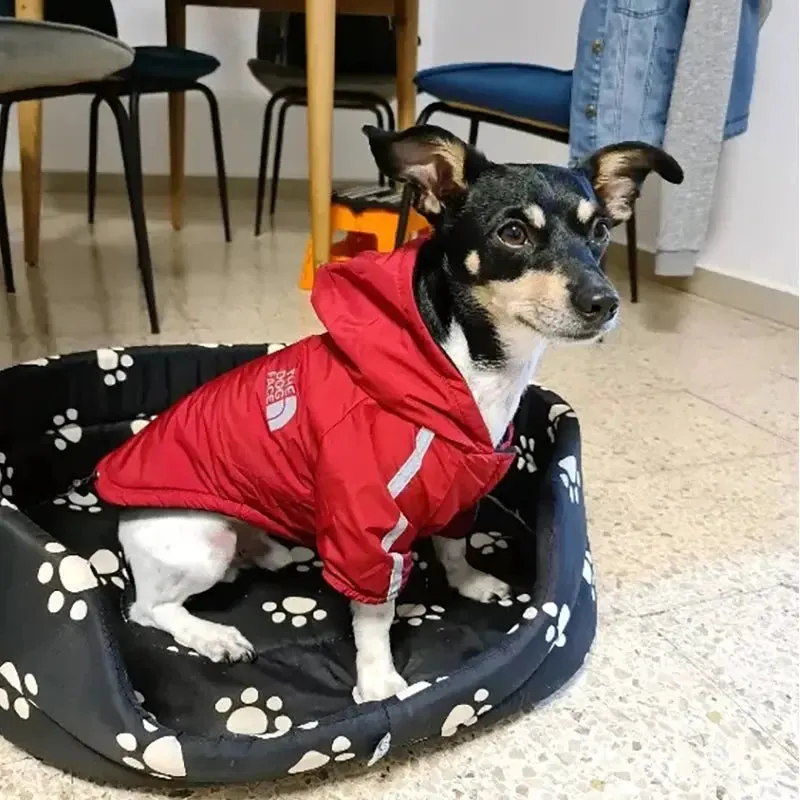 Waterproof Reflective Winter Dog Jacket for Small & Medium Dogs