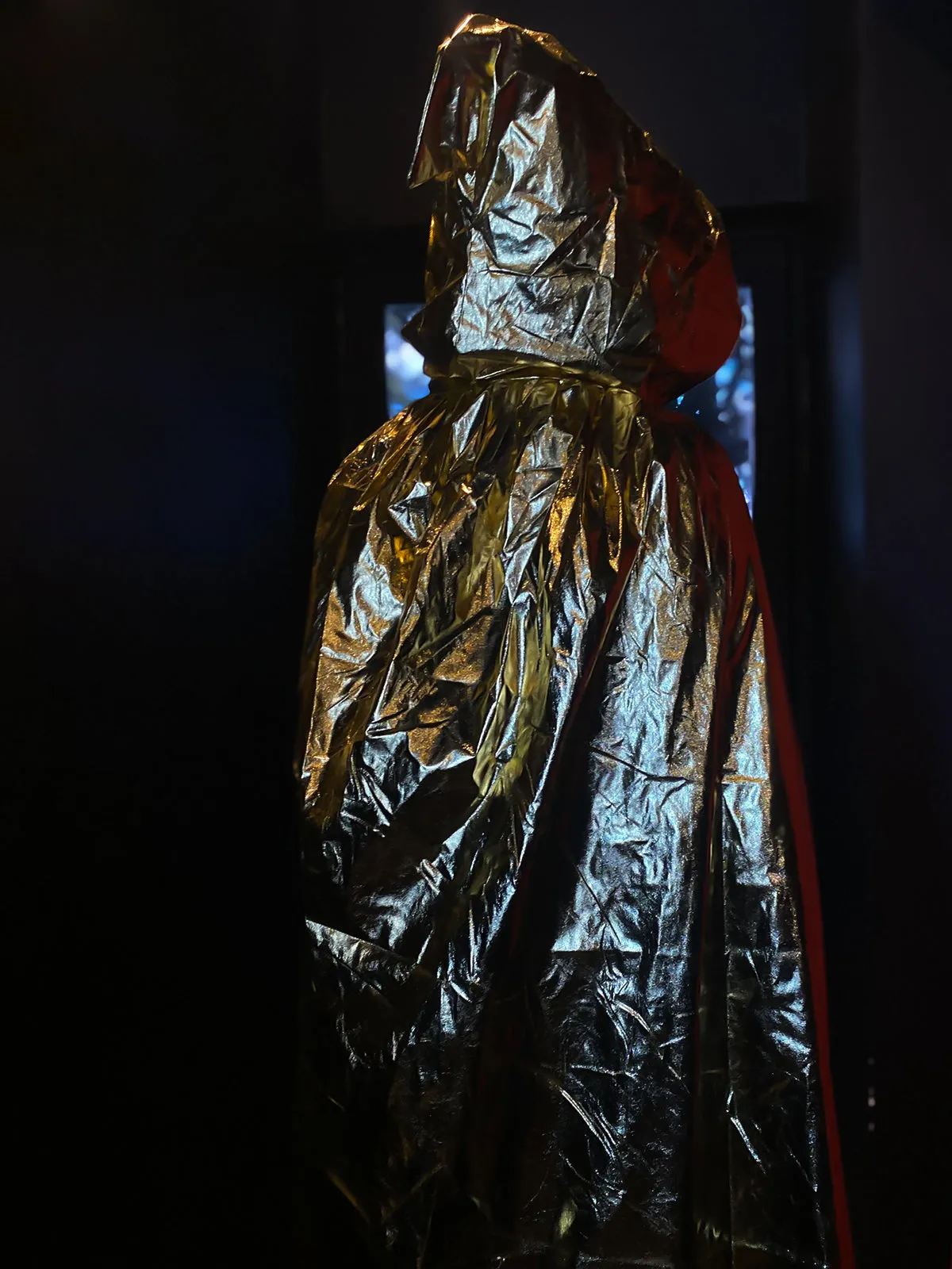 Wicked Witchy Glam Cape