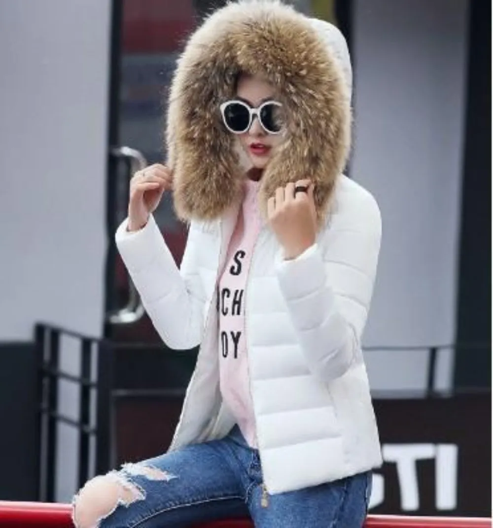 Womens Slim Fit Zip Up Hooded Jacket